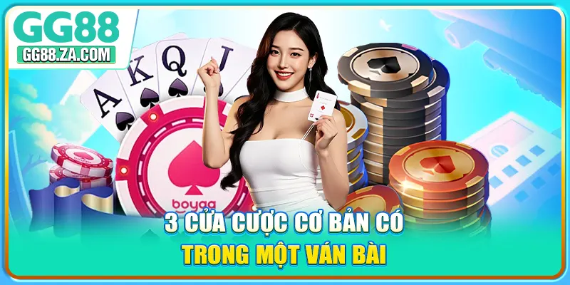 3 cửa cược cơ bản có trong một ván bài