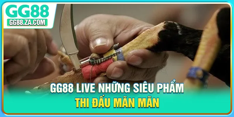 GG88 live những siêu phẩm thi đấu mãn mãn