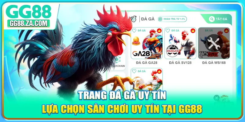 Trang Đá Gà Uy Tín - Lựa Chọn Sân Chơi Uy Tín Tại GG88